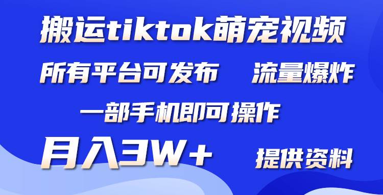 搬运Tiktok萌宠类视频，一部手机即可。所有短视频平台均可操作，月入3W+-小白项目网