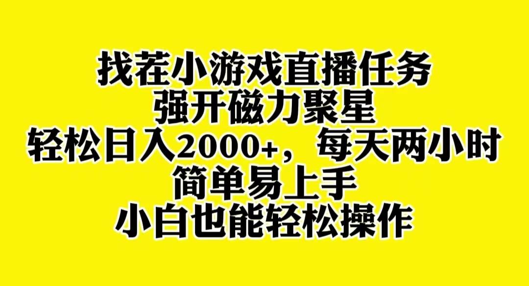 找茬小游戏直播，强开磁力聚星，轻松日入2000+，小白也能轻松上手-小白项目网