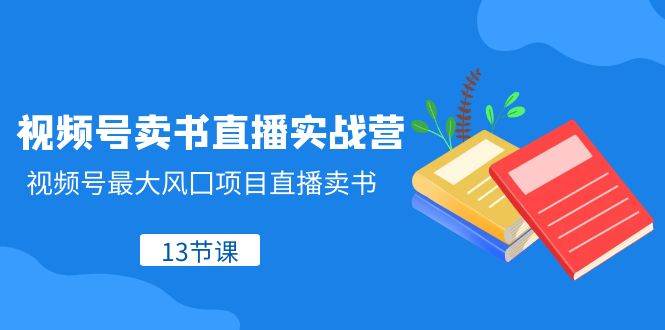 视频号-卖书直播实战营，视频号最大风囗项目直播卖书（13节课）-小白项目网