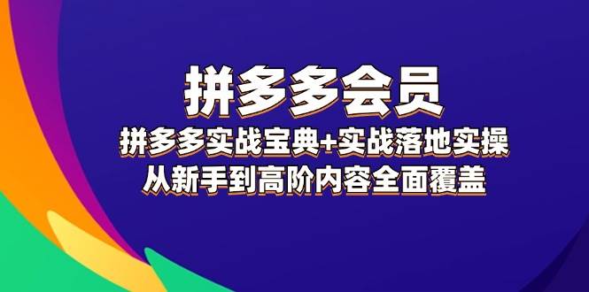 拼多多 会员，拼多多实战宝典+实战落地实操，从小白到高阶内容全面覆盖-小白项目网