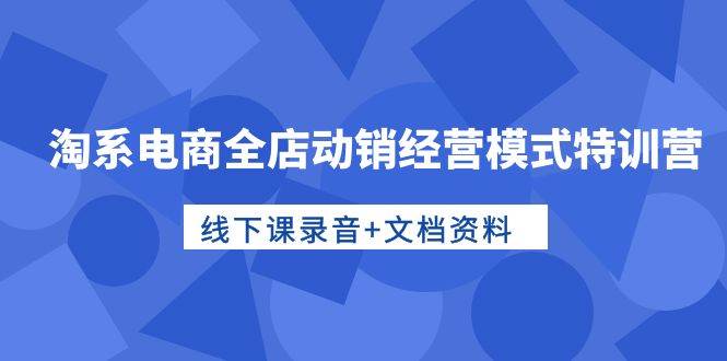 淘系电商全店动销经营模式特训营，线下课录音+文档资料-小白项目网