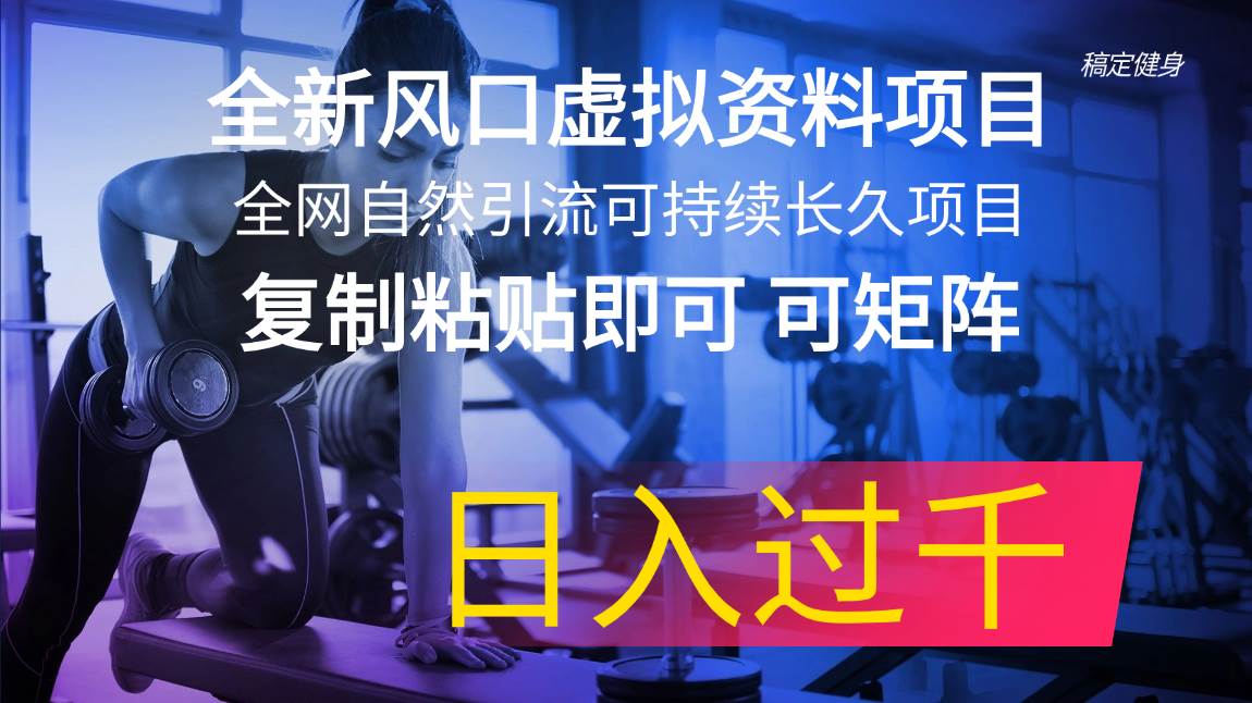 全新风口虚拟资料项目 全网自然引流可持续长久项目 复制粘贴即可可矩阵…-小白项目网