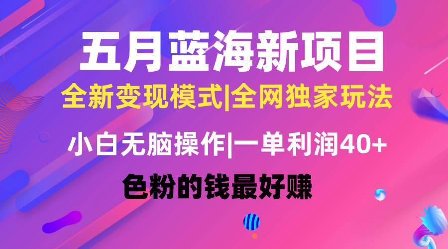 五月蓝海项目全新玩法，小白无脑操作，一天几分钟，矩阵操作，月入4万+-小白项目网