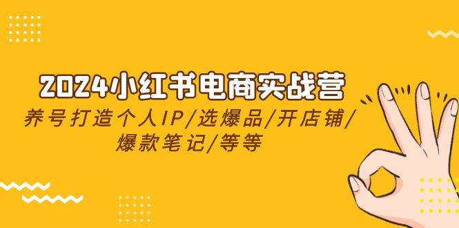 2024小红书电商实战营，养号打造IP/选爆品/开店铺/爆款笔记/等等（24节）-小白项目网