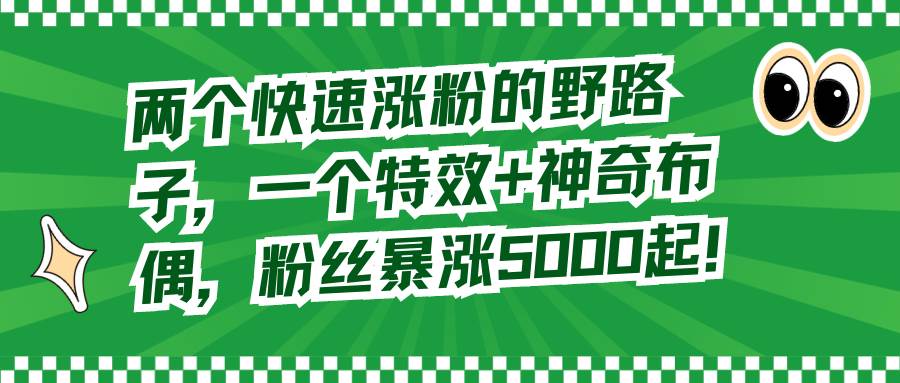 两个快速涨粉的野路子，一个特效+神奇布偶，粉丝暴涨5000起！-小白项目网