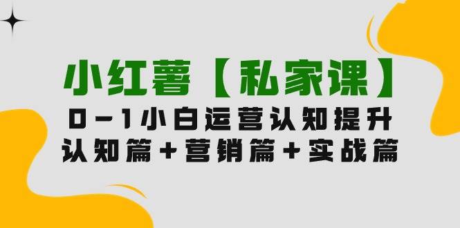 小红薯【私家课】0-1玩赚小红书内容营销，认知篇+营销篇+实战篇（11节课）-小白项目网