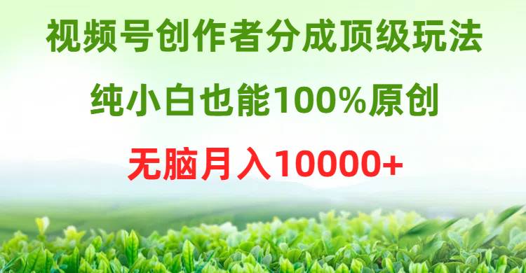 视频号创作者分成顶级玩法，纯小白也能100%原创，无脑月入10000+-小白项目网