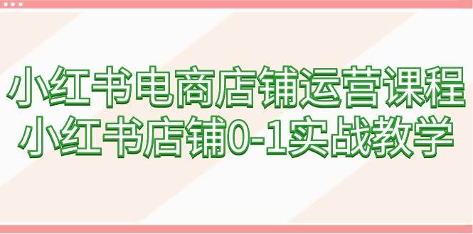 小红书电商店铺运营课程，小红书店铺0-1实战教学（60节课）-小白项目网