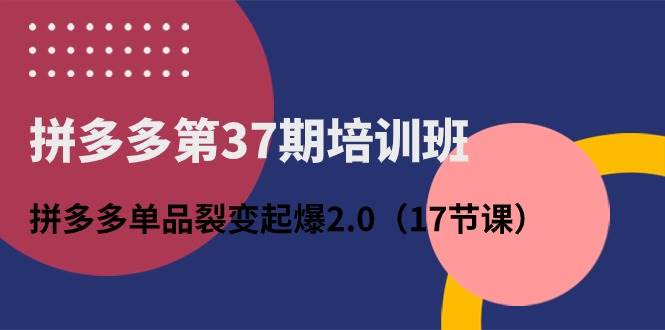 拼多多第37期培训班：拼多多单品裂变起爆2.0（17节课）-小白项目网