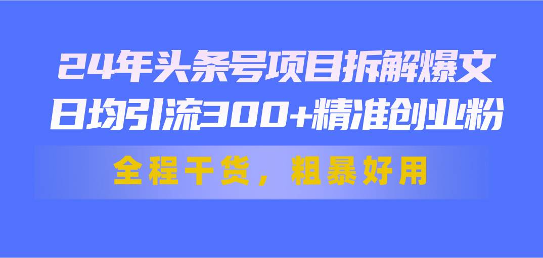 24年头条号项目拆解爆文，日均引流300+精准创业粉，全程干货，粗暴好用-小白项目网