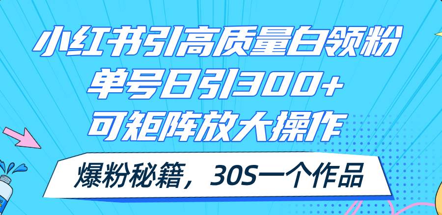 小红书引高质量白领粉，单号日引300+，可放大操作，爆粉秘籍！30s一个作品-小白项目网