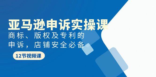 亚马逊-申诉实战课，商标、版权及专利的申诉，店铺安全必备-小白项目网