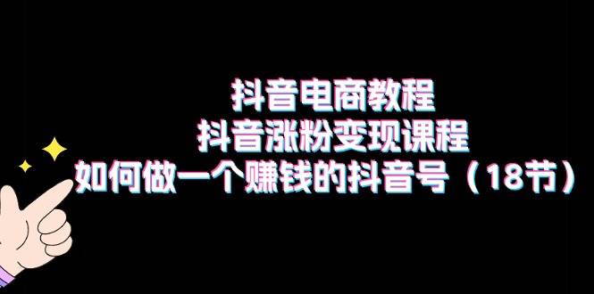 抖音电商教程：抖音涨粉变现课程：如何做一个赚钱的抖音号（18节）-小白项目网