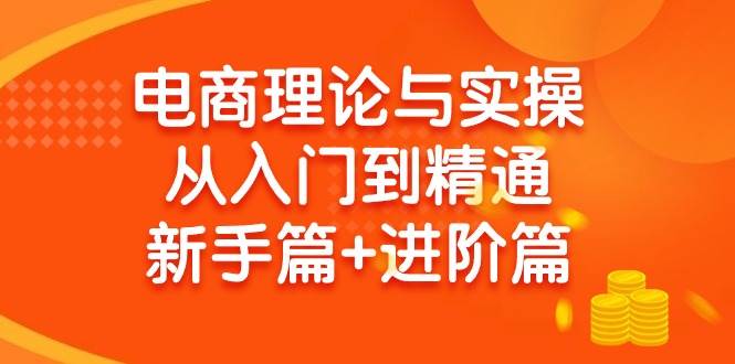 电商理论与实操从入门到精通 小白篇+进阶篇-小白项目网