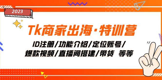 Tk商家出海·特训营：ID注册/功能介绍/定位账号/爆款视频/直播间搭建/带货-小白项目网