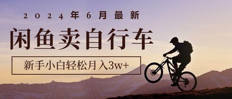 2024年6月最新闲鱼卖自行车，小白小白轻松月入3w+项目-小白项目网