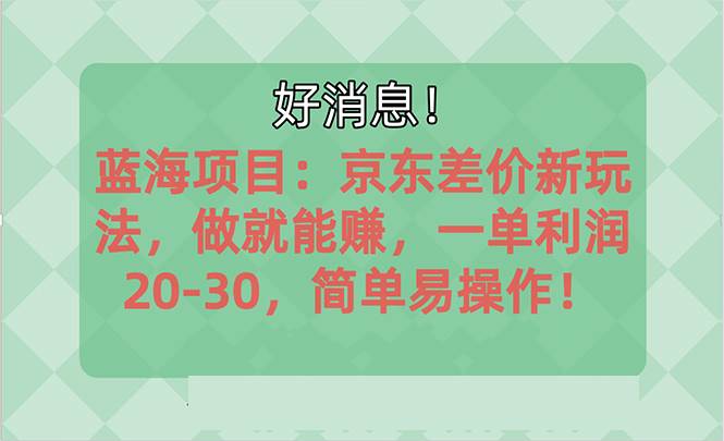 越早知道越能赚到钱的蓝海项目：京东大平台操作，一单利润20-30，简单…-小白项目网