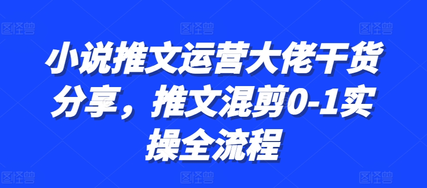 普通人知识变现规划课，像素级拆解知识IP变现七位数路径规划 - 小白项目网-小白项目网