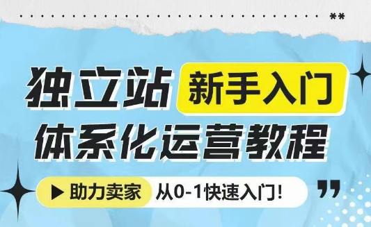 独立站新手入门体系化运营教程，助力独立站卖家从0-1快速入门!-啦啦收录网