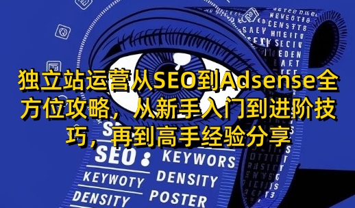 独立站运营从SEO到Adsense全方位攻略，从新手入门到进阶技巧，再到高手经验分享-啦啦收录网