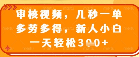 审核视频，几秒一单，多劳多得，新人小白一天轻松3张【揭秘】-小白项目网