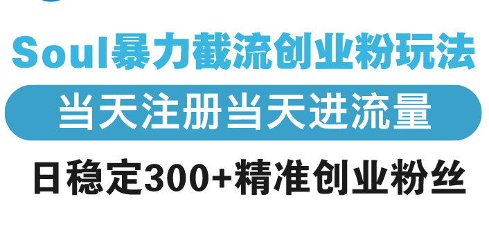 Soul暴力截流创业粉玩法，当天注册当天进流量，日稳定300+精准创业粉丝-啦啦收录网