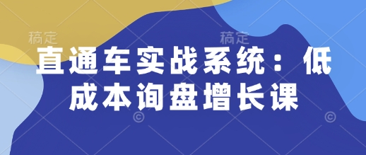 直通车实战系统：低成本询盘增长课，让个人通过技能实现升职加薪，让企业低成本获客，订单源源不断-啦啦收录网