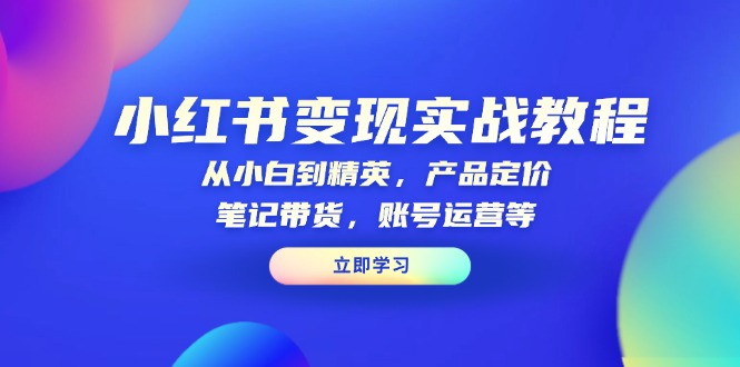 小红书变现实战教程：从小白到精英，产品定价，笔记带货，账号运营等-啦啦收录网