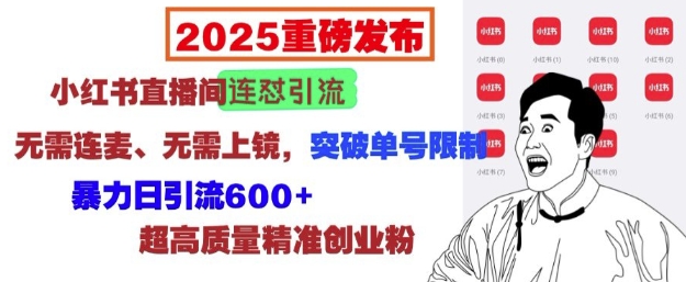 2025重磅发布：小红书直播间连怼引流，无需连麦、无需上镜，突破单号限制，暴力日引流600+-啦啦收录网