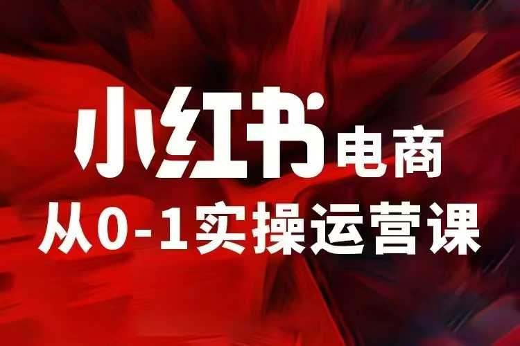 小红书电商运营，97节小红书vip内部课，带你实现小红书赚钱-啦啦收录网