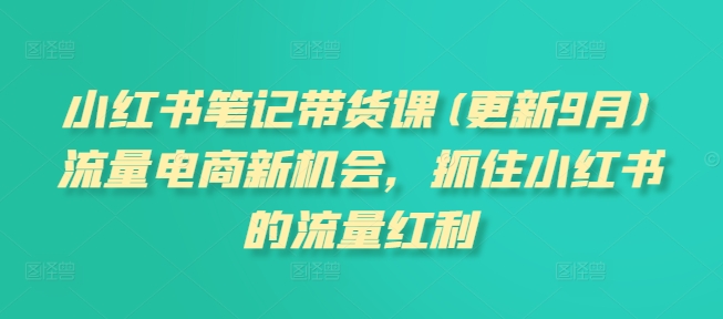 小红书笔记带货课(更新25年2月)流量电商新机会，抓住小红书的流量红利-小白项目网