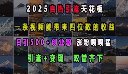 2025自热引流天花板，一条视频能带来四位数的收益，引流+变现双管齐下，日引500+创业粉，涨粉嘎嘎猛 - 小白项目网-小白项目网