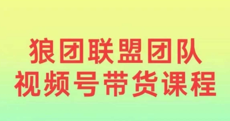 狼团联盟2024视频号带货，0基础小白快速入局视频号 - 小白项目网-小白项目网