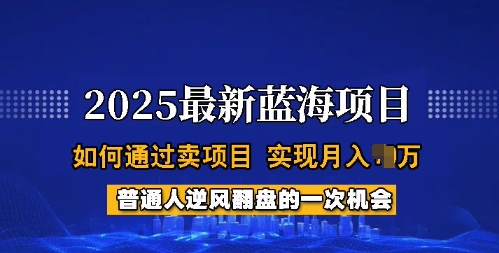 2025蓝海项目，普通人如何通过卖项目，实现月入过W，全过程【揭秘】-小白项目网