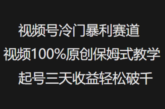 视频号冷门暴利赛道视频100%原创保姆式教学起号三天收益轻松破千-小白项目网