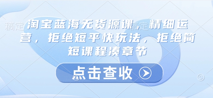 淘宝蓝海无货源课，精细运营，拒绝短平快玩法，拒绝简短课程凑章节-小白项目网