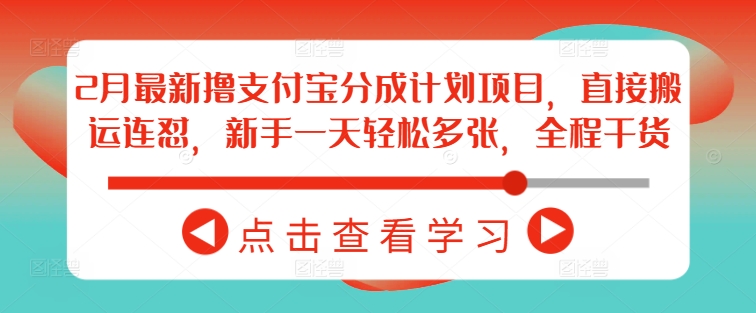 2月最新撸支付宝分成计划项目，直接搬运连怼，新手一天轻松多张，全程干货-小白项目网