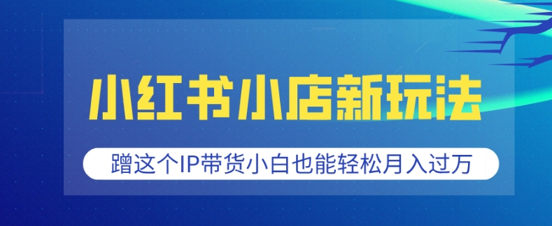 小红书小店新玩法，蹭这个IP带货，小白也能轻松月入过W【揭秘】-啦啦收录网