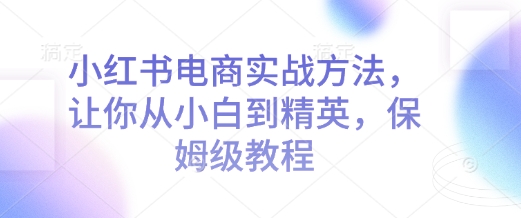 小红书电商实战方法，让你从小白到精英，保姆级教程-啦啦收录网