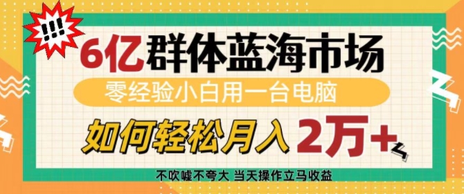 6亿群体蓝海市场，零经验小白用一台电脑，如何轻松月入过w【揭秘】 - 小白项目网-小白项目网