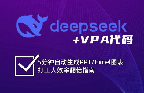 DeepSeek从入门到精通：解锁Excel和VBA高效办公新技能-小白项目网