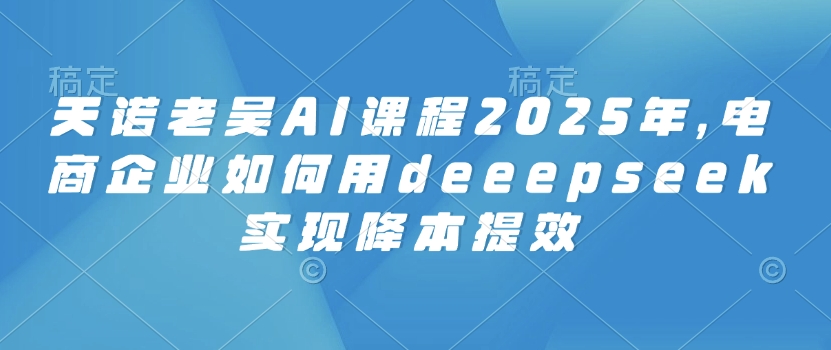 天诺老吴AI课程2025年，电商企业如何用deeepseek实现降本提效-小白项目网