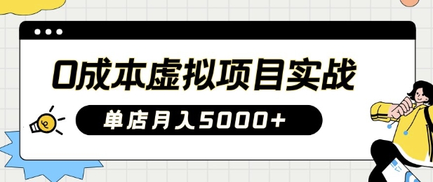 0成本虚拟项目实战手把手教你落地，单店月入5k-小白项目网