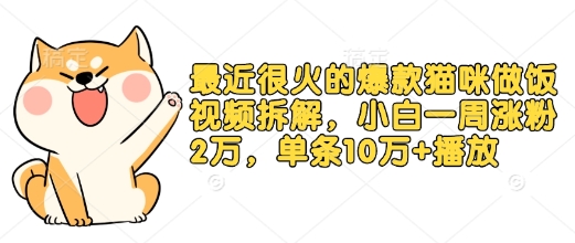 最近很火的爆款猫咪做饭视频拆解，小白一周涨粉2万，单条10万+播放(附保姆级教程)-啦啦收录网