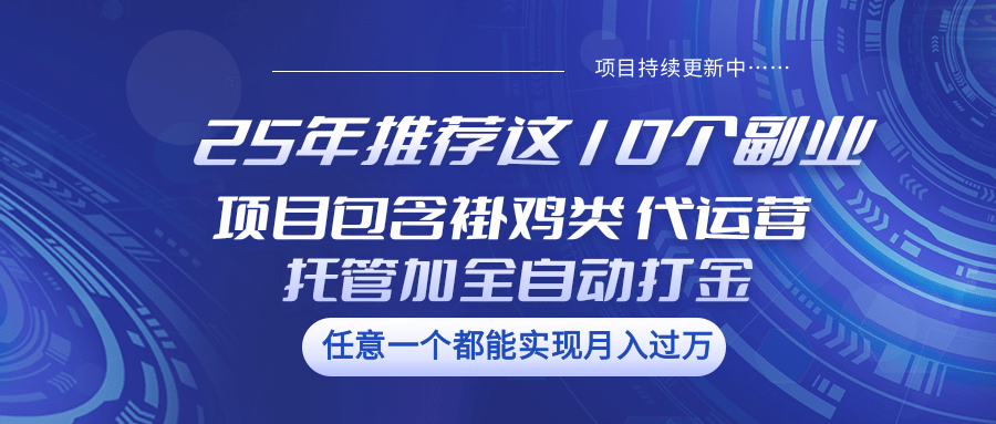 25年推荐这10个副业 项目包含褂鸡类、代运营托管类、全自动打金类-小白项目网