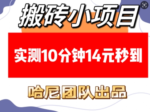 搬砖小项目，实测10分钟14元秒到，每天稳定几张(赠送必看稳定)-啦啦收录网