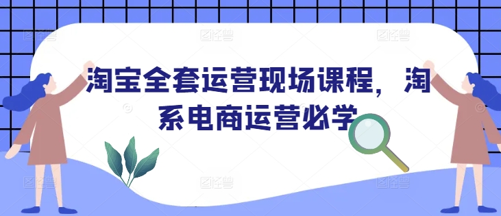 淘宝全套运营现场课程，淘系电商运营必学-啦啦收录网