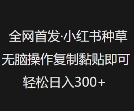 全网首发，小红书种草无脑操作，复制黏贴即可，轻松日入3张-小白项目网