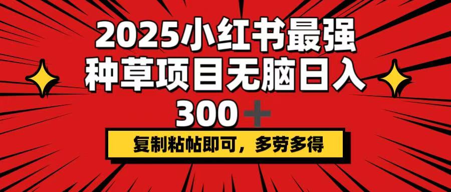 2025小红书最强种草项目，无脑日入300+，复制粘帖即可，多劳多得-小白项目网