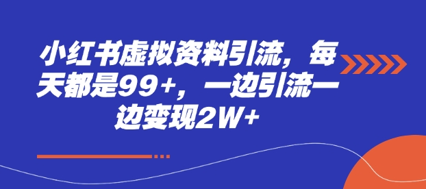 小红书虚拟资料引流，每天都是99+，一边引流一边变现2W+-啦啦收录网